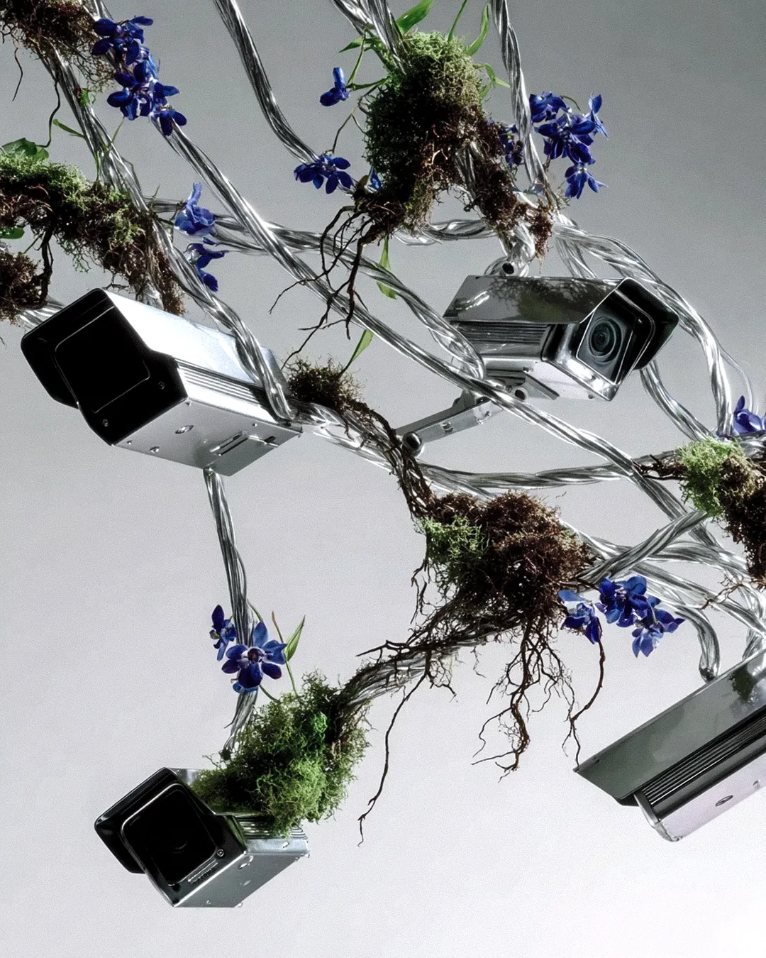 BOTANICA TECH 01