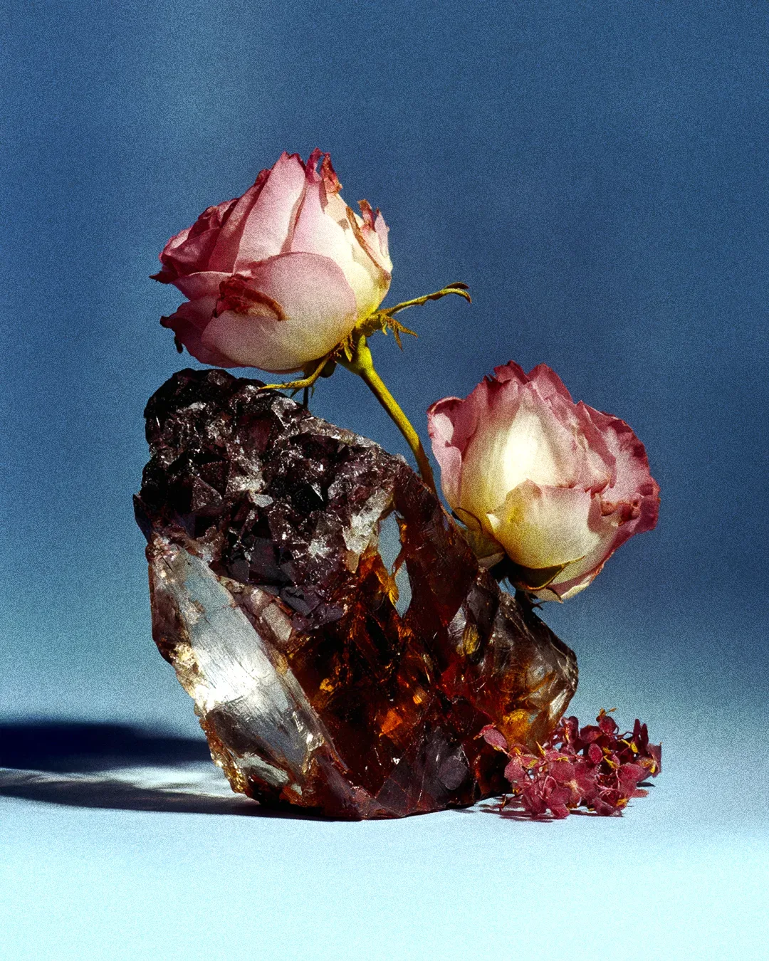 BRUTAL BLOOM 03