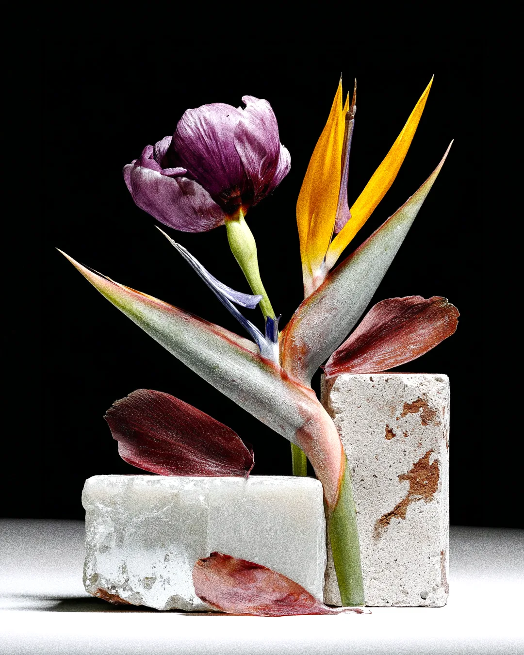 BRUTAL BLOOM 04
