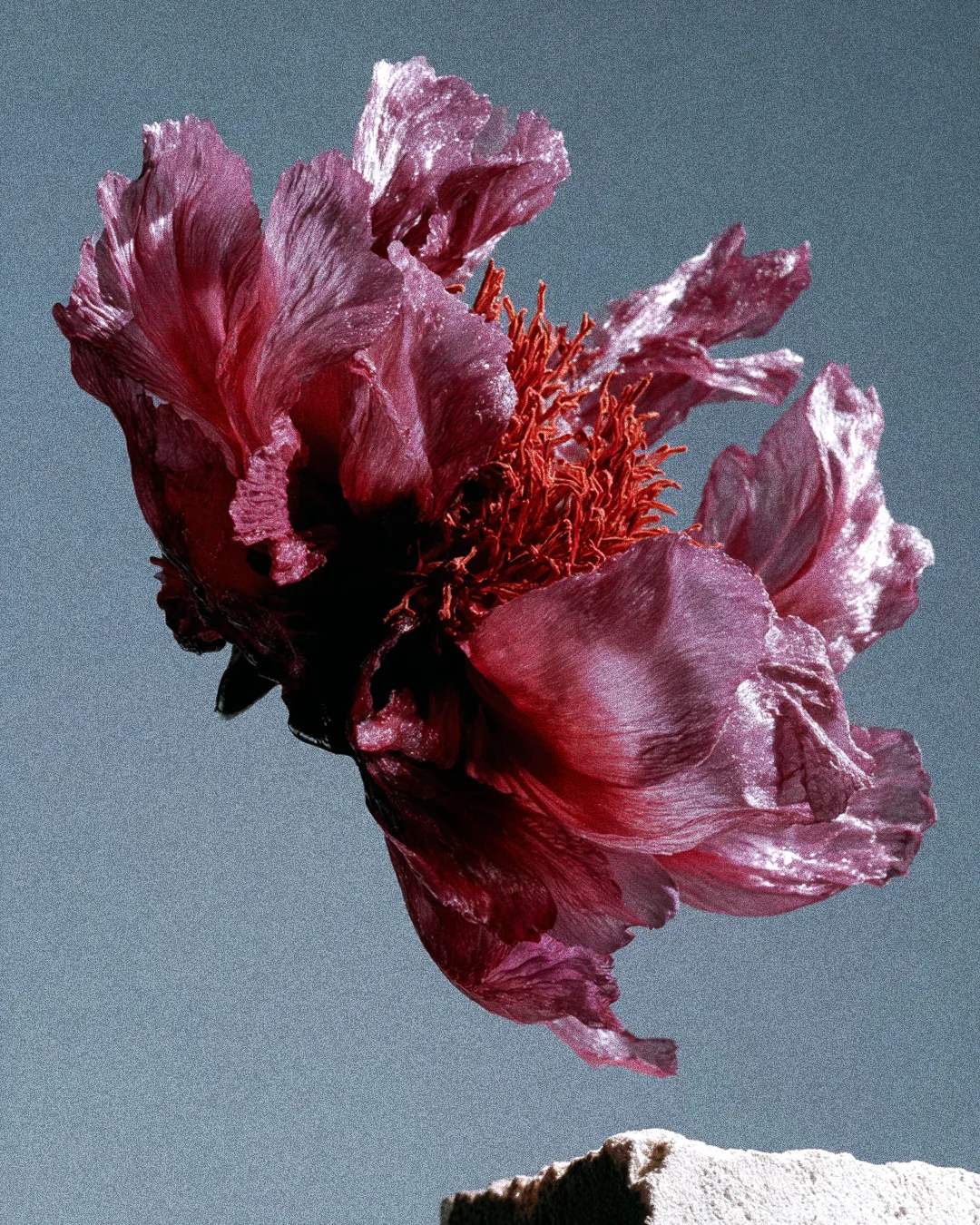 BRUTAL BLOOM 06