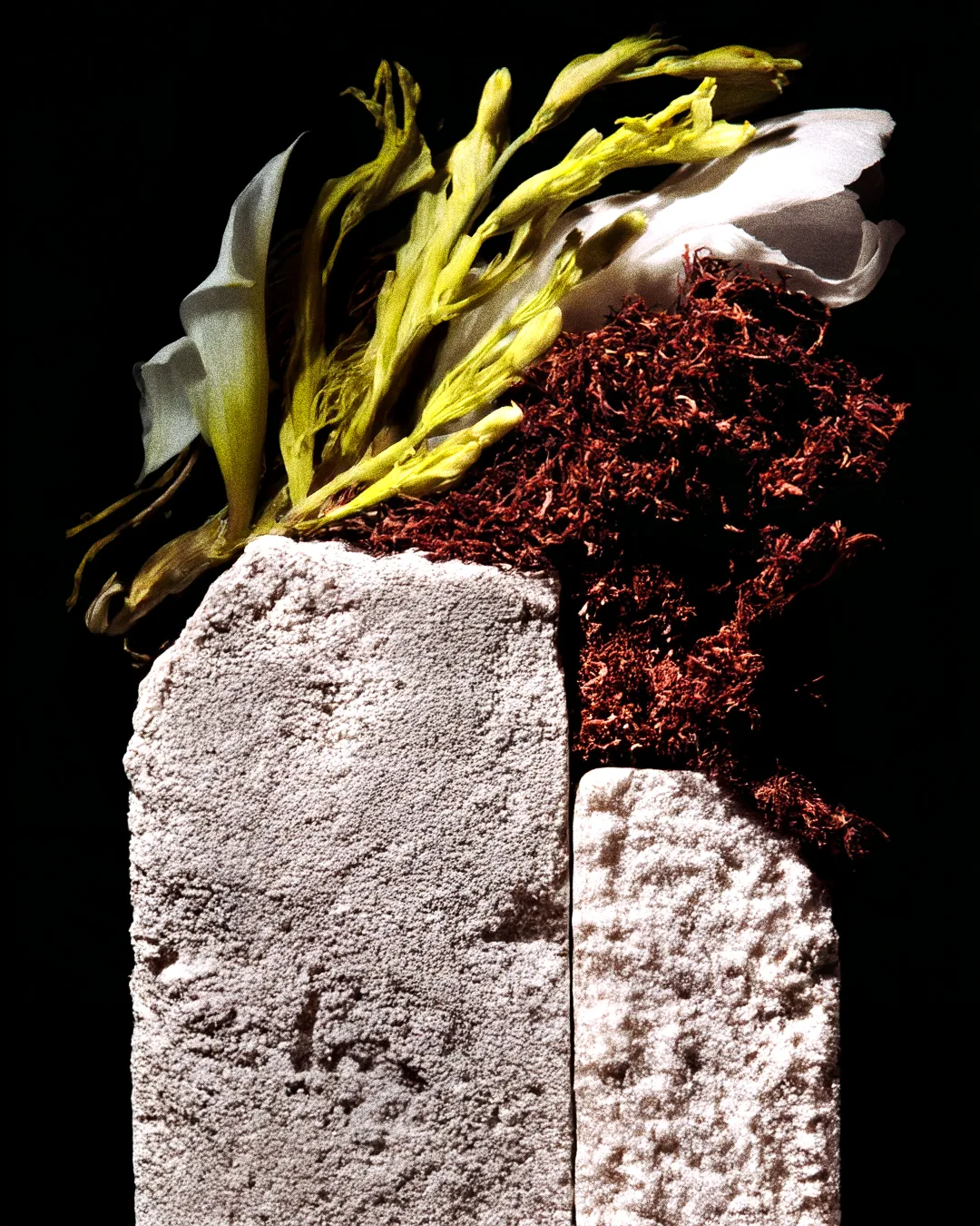BRUTAL BLOOM 07