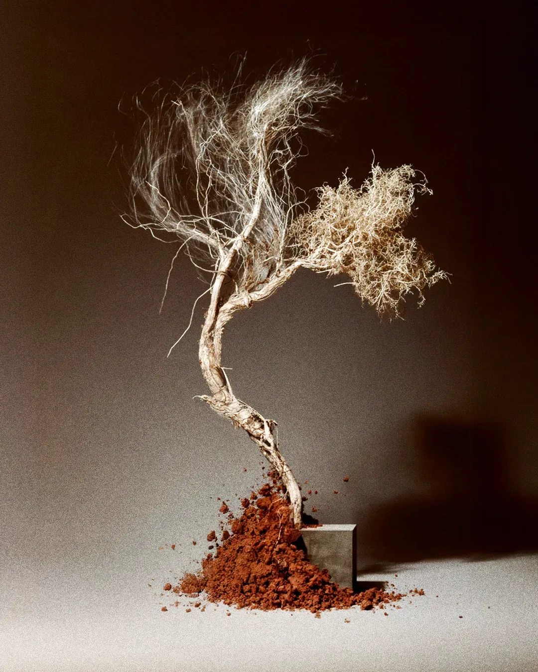 BRUTAL BLOOM 09