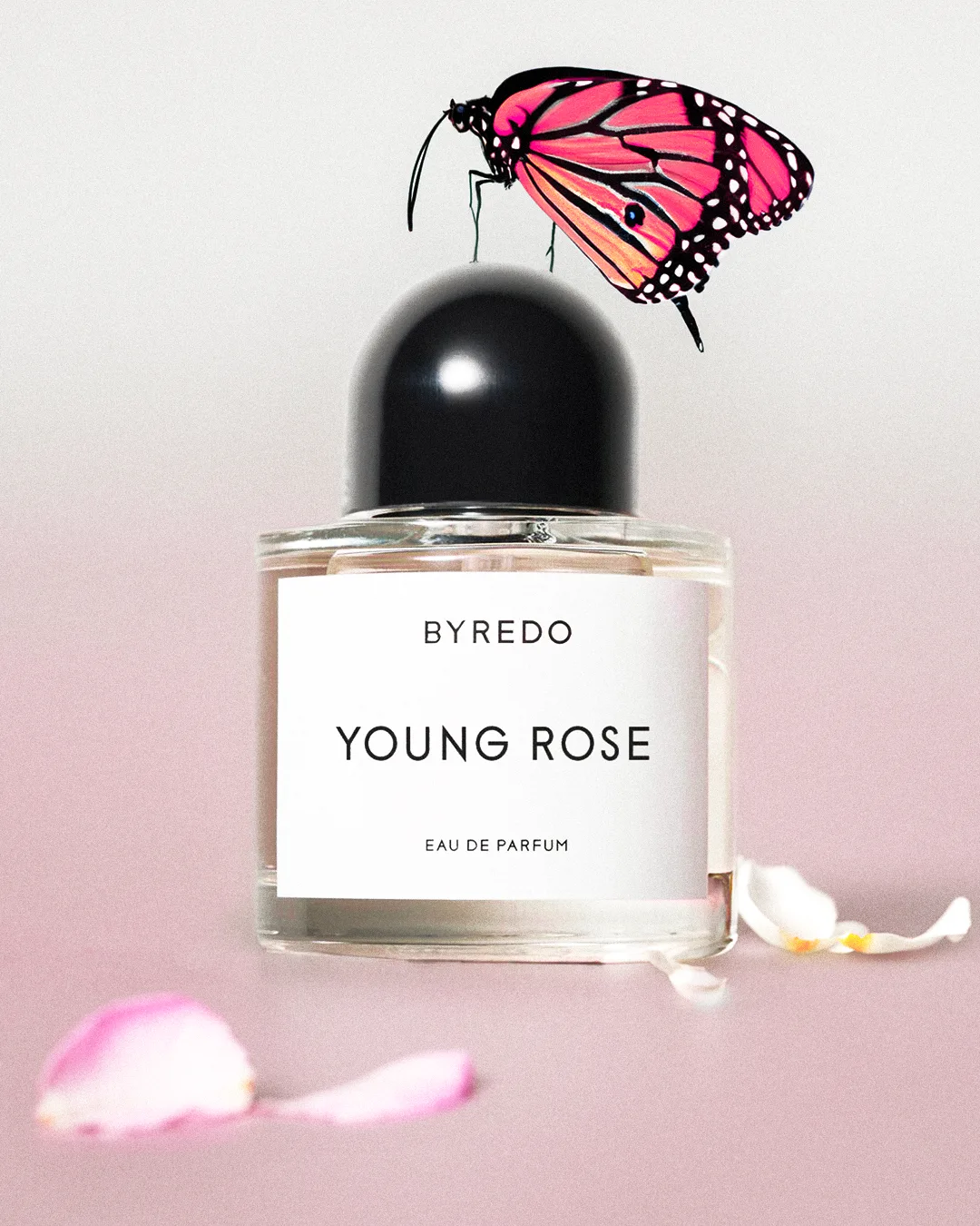 BYREDO — SECRET GARDEN 02