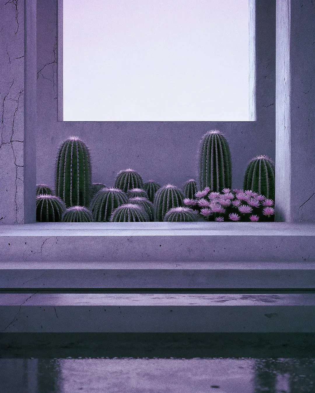 EXO FLORA