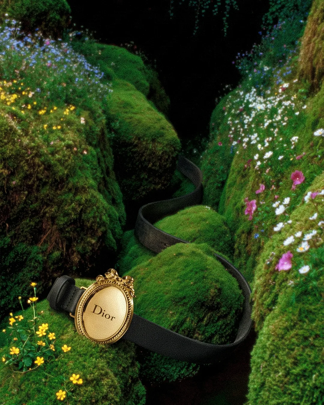 ENCHANTED GARDEN 05