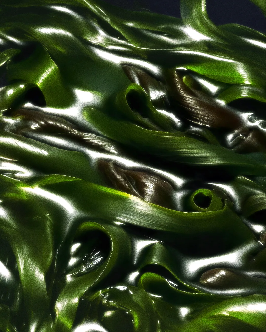 IODÉ 06