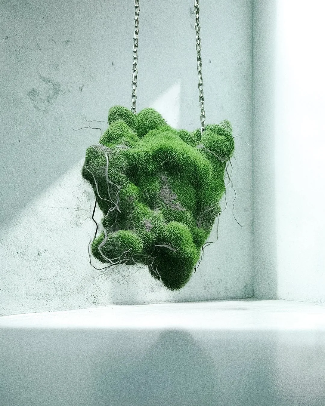 MOSS 02