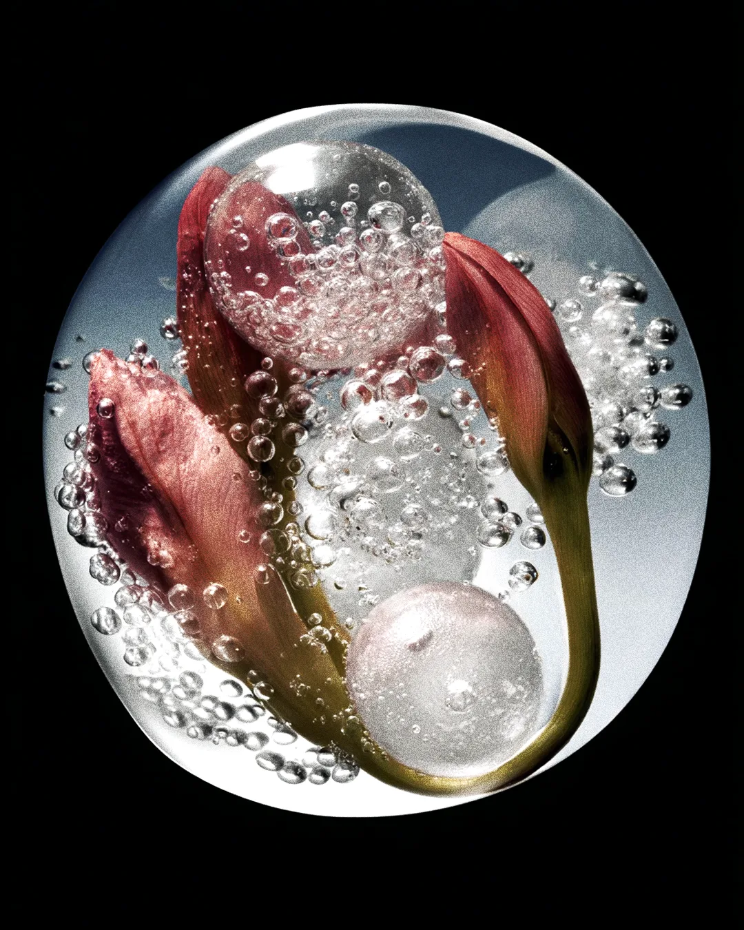 OLFACTIVE 04