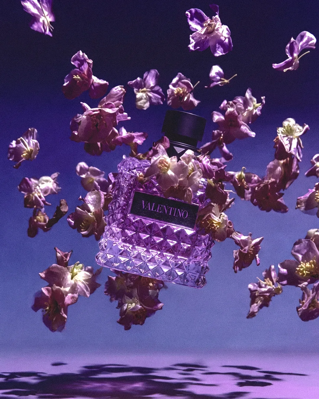 VALENTINO 01