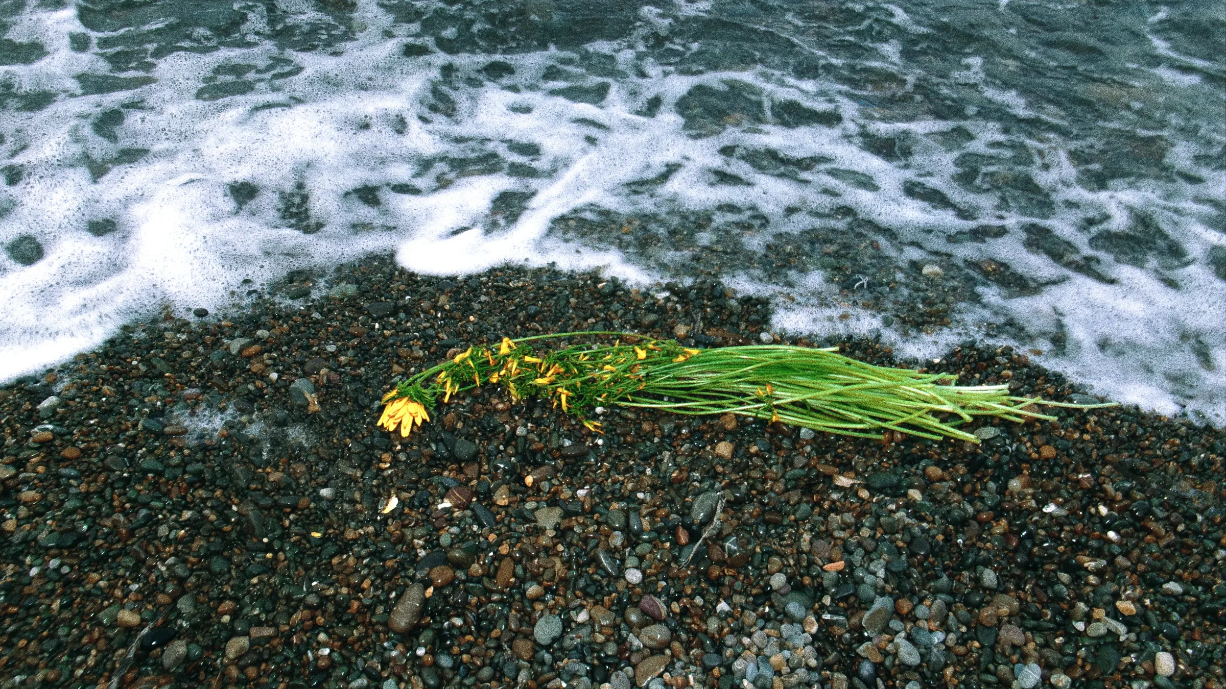 PHOTOGRAPHY ARCHIVES