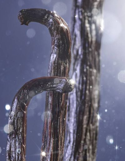 VANILLA