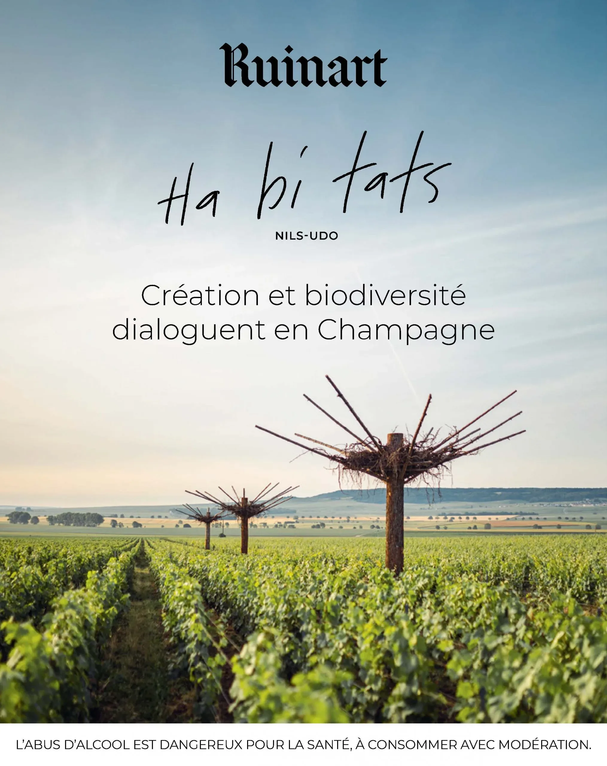 AFFICHAGE MASTER
